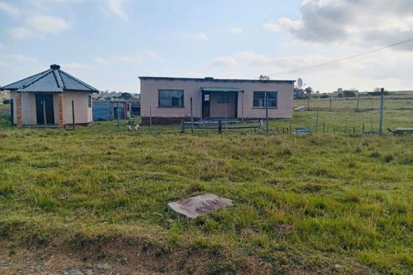 This piece of farm land with a rondavel and 3flatlets,is something worth looking at.
You can use for your projects, as a small holding ...