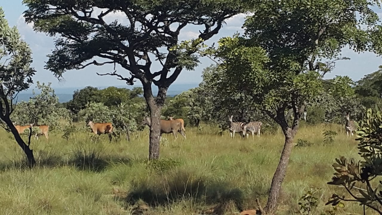 Farm for sale in Rustenburg Rural - P24-108364856