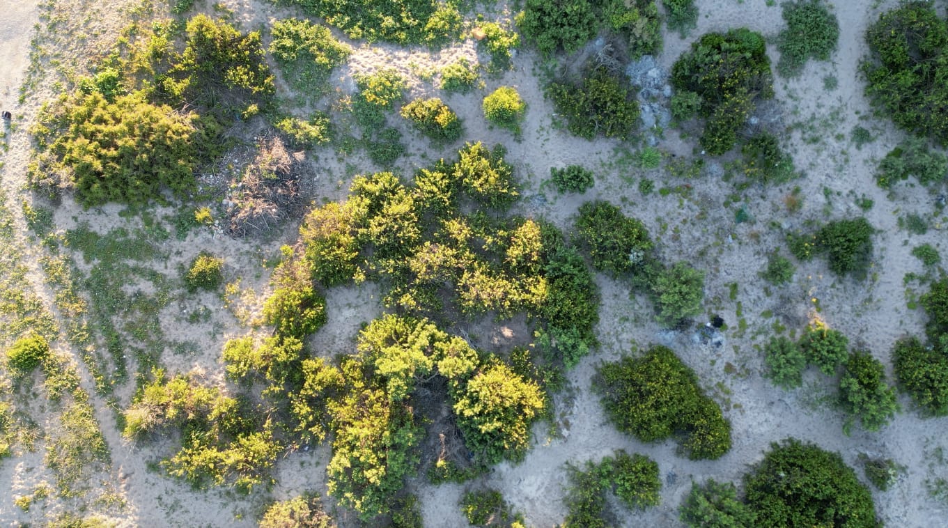 Photo of Vacant land / plot for sale in Elands Bay