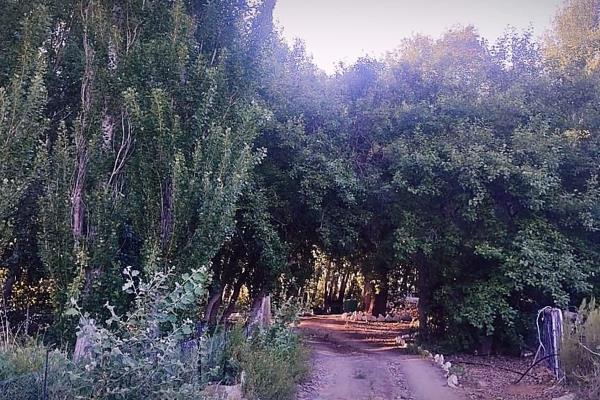 For Sale | Sutherland, Northern Cape | 4.5 ha

Step back in time and own a piece of history. OUPLAAS, the original fountain of ...