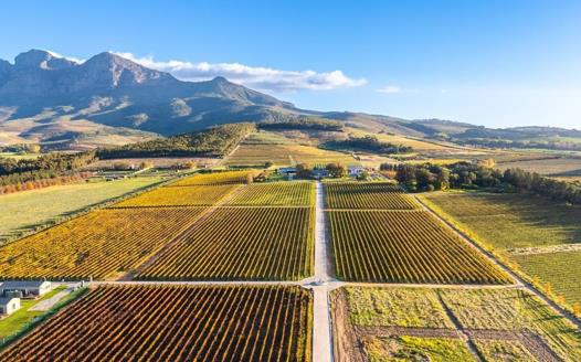 Farm for sale in Paarl Rural - Paarl