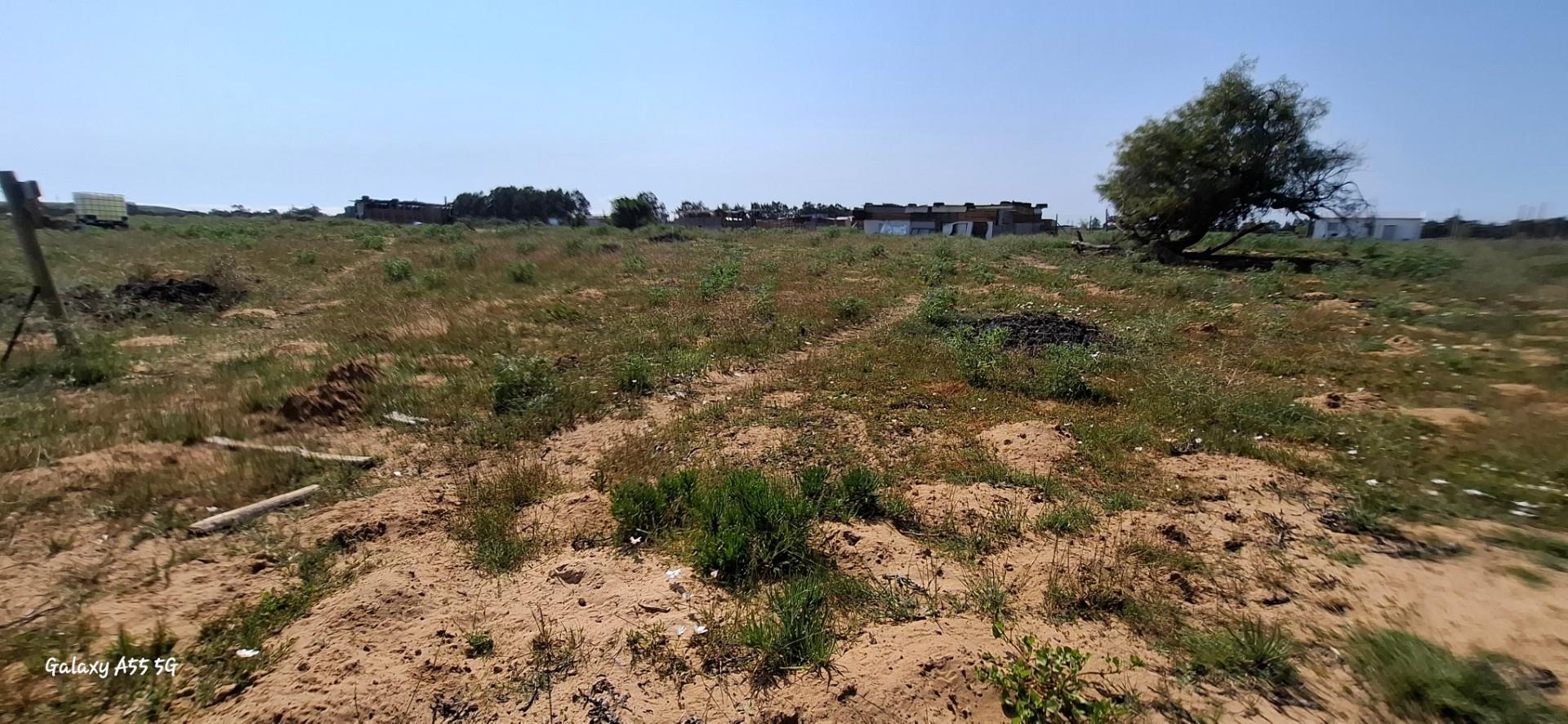 Photo of Farm for sale in Vredenburg