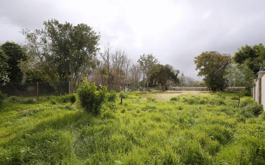 Vacant Land / Plot for sale in Constantia
