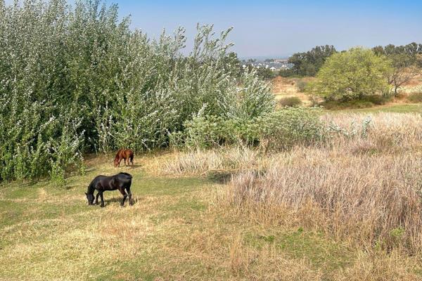Perfectly located near the peaceful St Ledger Park in the heart of Kyalami Estate. The ...