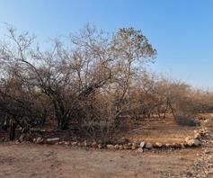 Vacant Land / Plot for sale in Marloth Park