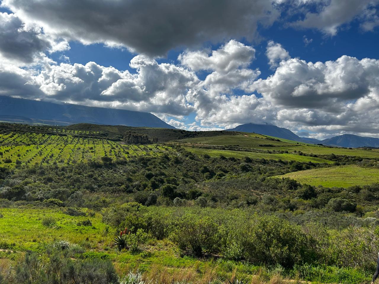 Photo of Farm for sale in Riversdale Rural