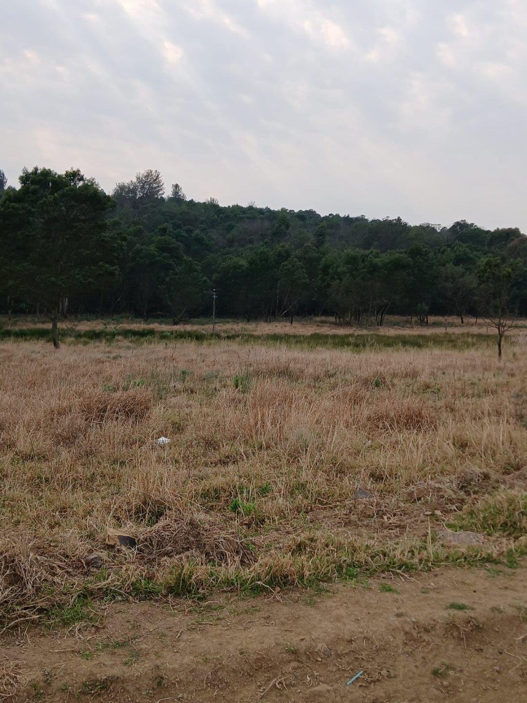 Vacant land / plot for sale in Stutterheim - P24-116548488