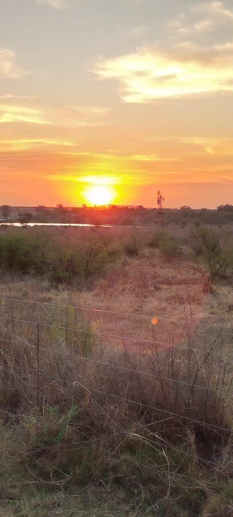 Listing number: P24-116487950, Image number: 1, Image