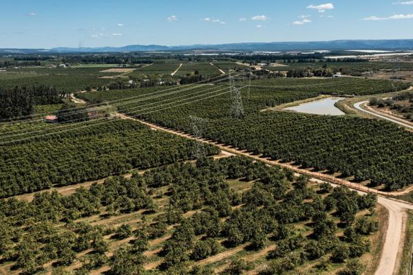 Addo Farms – Dalminock &amp; Elchies Tender Closes: 30 October at 12:00
A rare ...