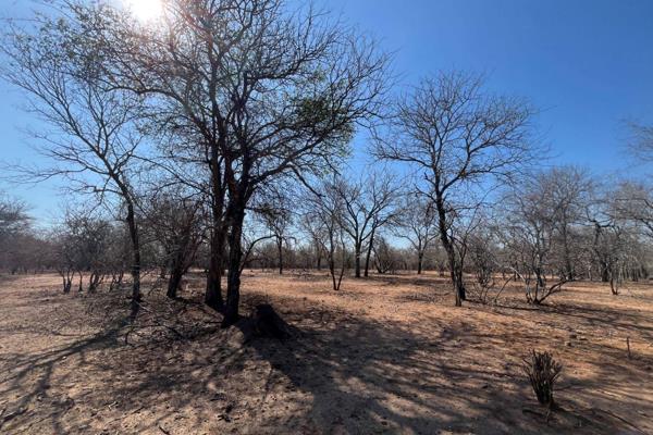 Discover a rare investment opportunity with three prime stands located side by side, offering a combined size of 4,702m². Each ...