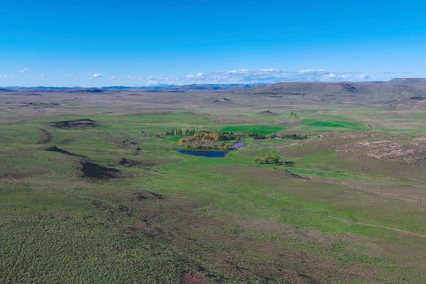 This magnificent 2,249-hectare sheep and cattle farm offers an ideal combination of ...
