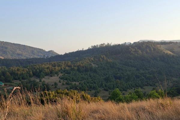 Set in Hazelmere, Dargle — quiet, scenic, tranquil countryside with great vistas, fresh clean air and natural beauty. 
Excellent ...