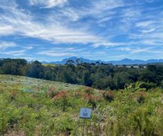 Vacant Land / Plot for sale in Herolds Bay
