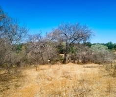 Vacant Land / Plot for sale in Elephant Rock Eco Estate