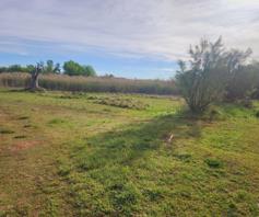 Vacant Land / Plot for sale in Aliwal North