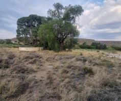 Farm for sale in Philippolis