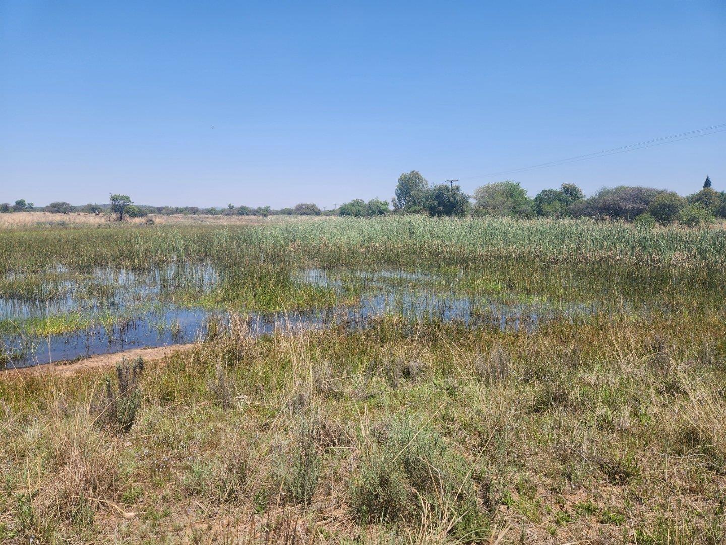 Farm for sale in Roodeplaat - P24-116588791