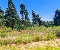 Vacant Land / Plot for sale in Salt Rock