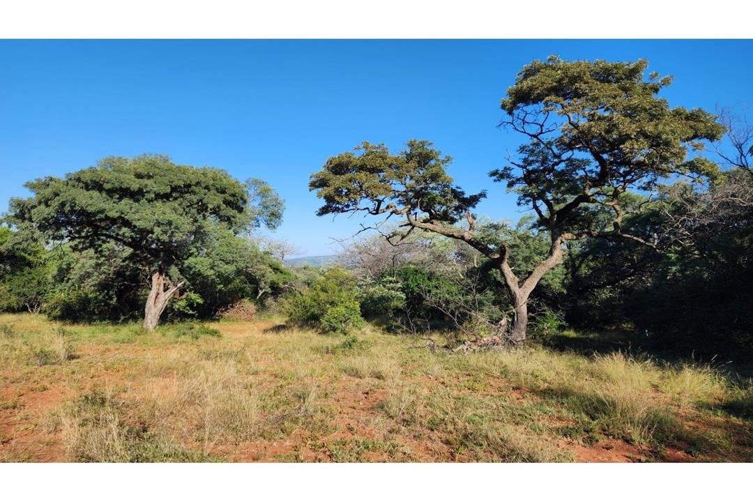 Vacant land / plot for sale in Intaba-Indle Wilderness Estate - P24 ...