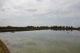 Thumbnail 27