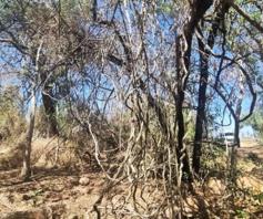 Vacant Land / Plot for sale in Marloth Park