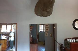 Thumbnail 12
