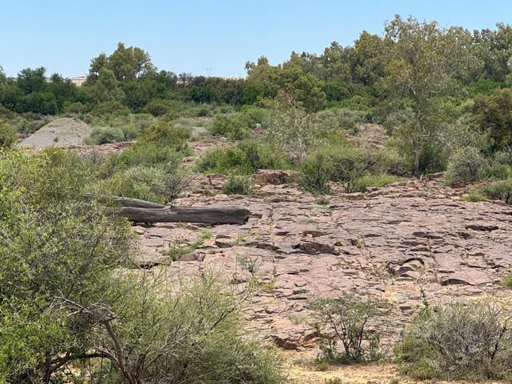 Farm for sale in Jacobsdal Rural - P24-116633314