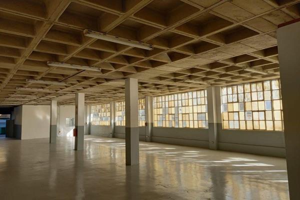 Hosting roller shutter door, with large reception area, there is small factory, 2 change rooms on a site with24 hour security. There is ...