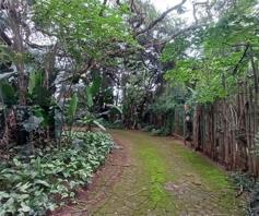 House for sale in Makhado