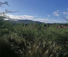Vacant Land / Plot for sale in Burgersfort