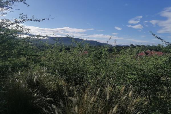 Another opportunity to invest. This vacant land is situated in a well developed area of the estate and flexable to build your dream ...