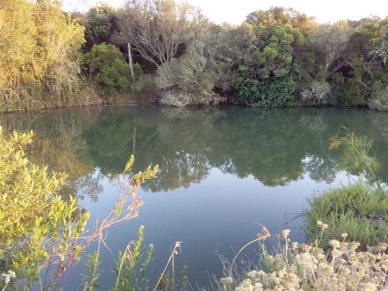Photo of Farm for sale in Riversdale Rural