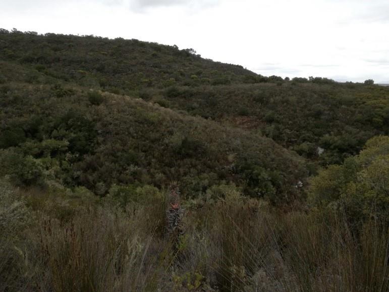 Photo of Farm for sale in Riversdale Rural