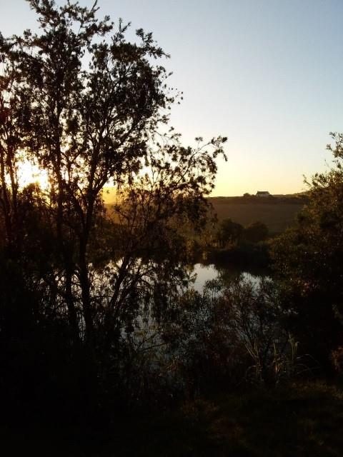 Photo of Farm for sale in Riversdale Rural