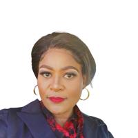 Agent profile for Nandi Budaza