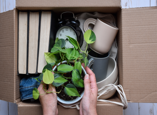 Downsizing made simple: Right-sizing your home for lifestyle and value