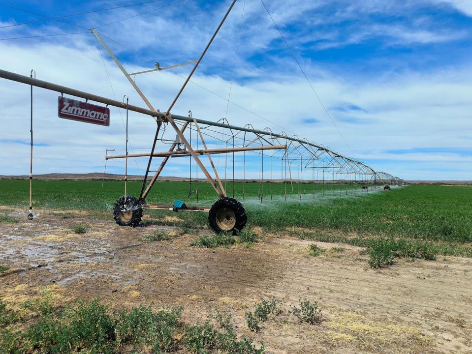 Farm for sale in Beaufort West Rural - N1 - P24-116676422