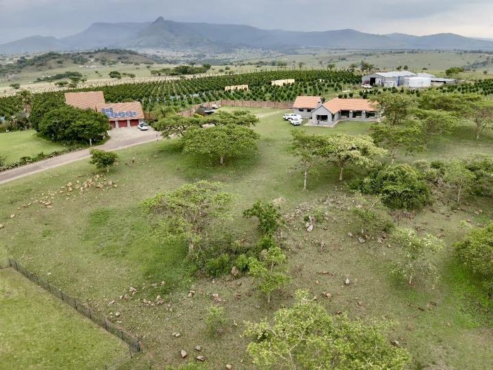 Vacant land / plot for sale in Badplaas - P24-116685843
