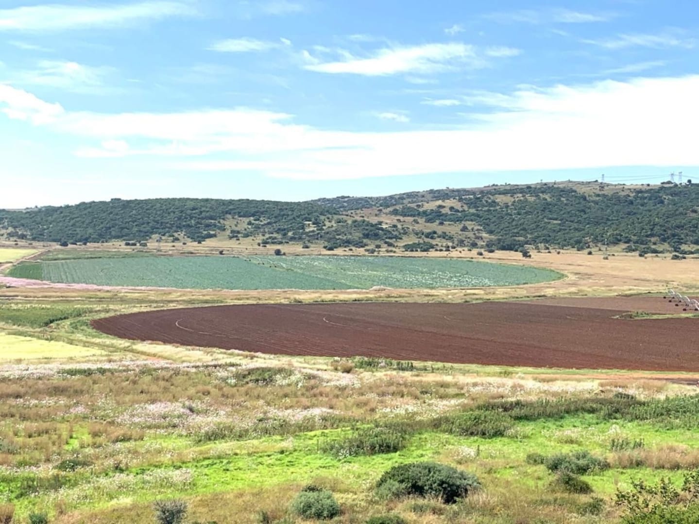 Farm for sale in Meyerton Central - P24-116686817