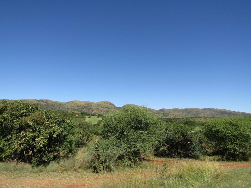 Listing number: P24-114094246, Image number: 1