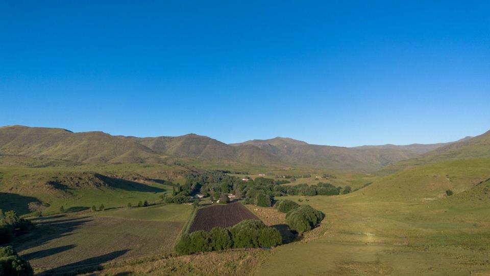 Listing number: P24-116822559, Image number: 2, Image