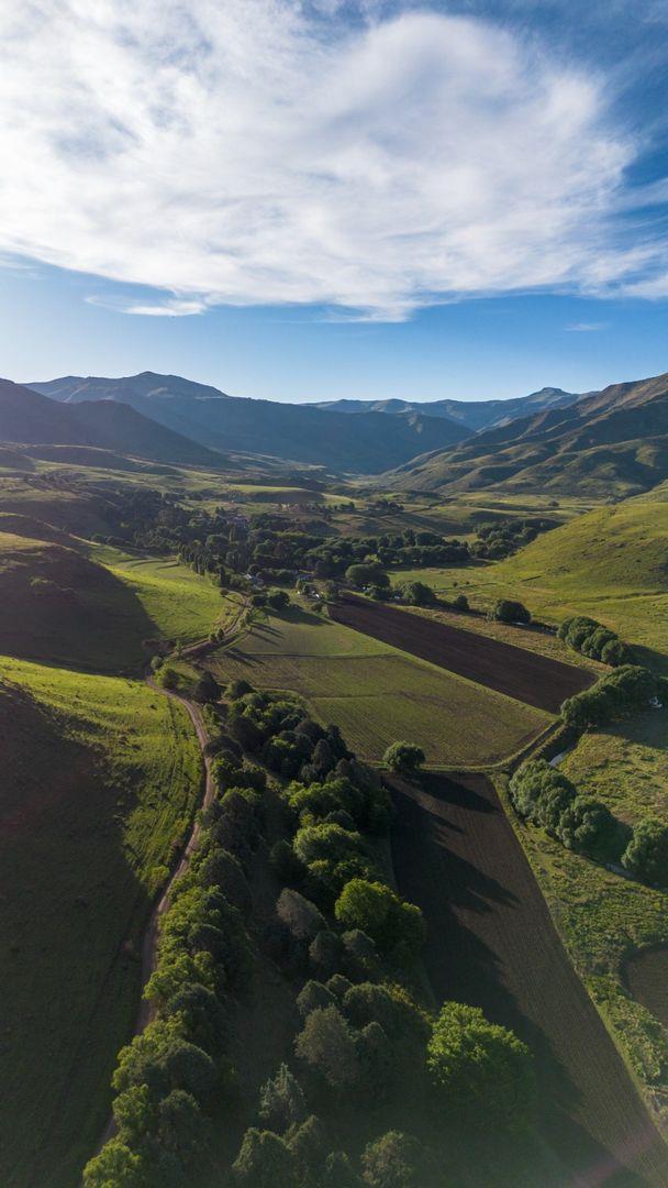 Listing number: P24-116822559, Image number: 1, Image