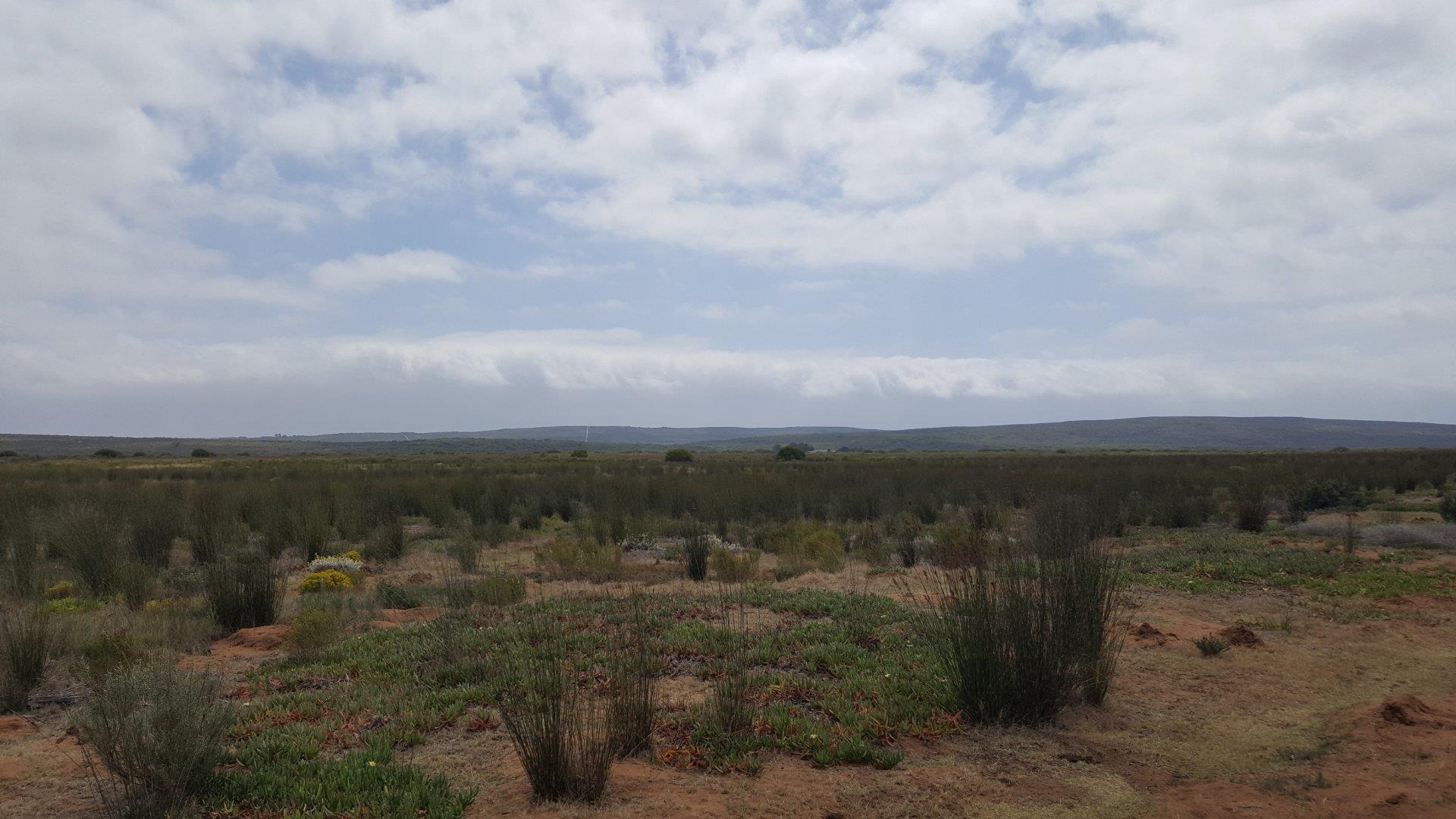 Photo of Farm for sale in Riversdale Rural