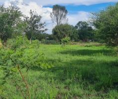 Vacant Land / Plot for sale in Modimolle