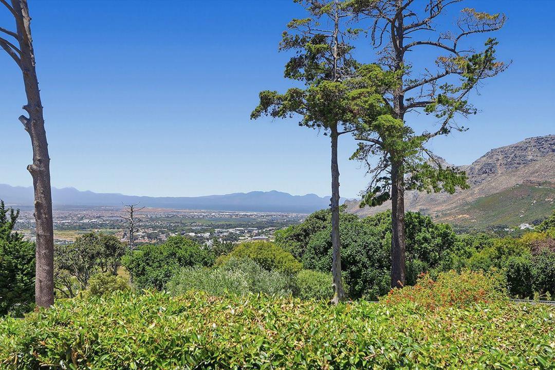 Elevated viewpoint through mature pine trees showing an expansive valley vista over a built-up area toward a distant mountain range and a large body of water, taken on a clear summer day with lush indigenous fynbos in th