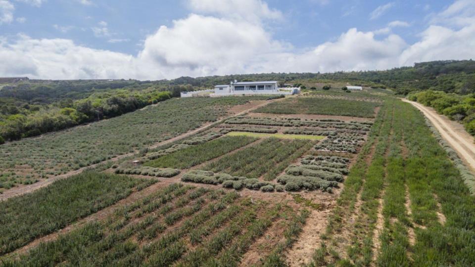 Farm for sale in Groot Brakrivier Rural - P24-116732962