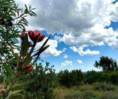 Vacant Land / Plot for sale in Van Der Hoff Park
