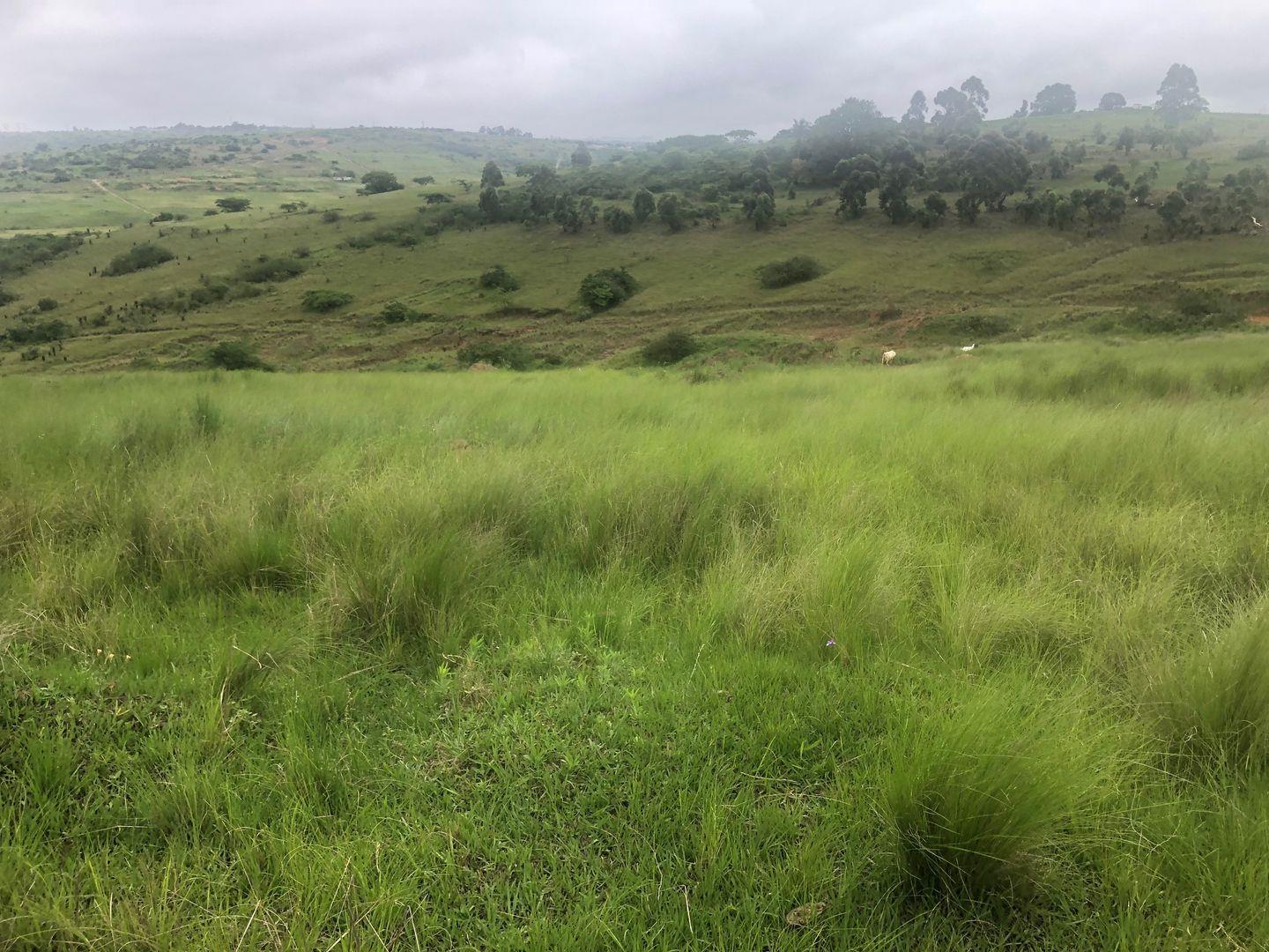 Vacant land / plot for sale in Cato Ridge - P24-116750694
