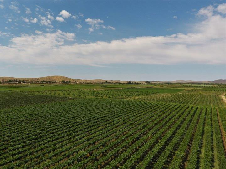 Farm for sale in Upington Rural - P24-116806596
