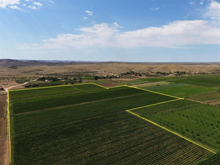 Farm for sale in Upington Rural - P24-116806596
